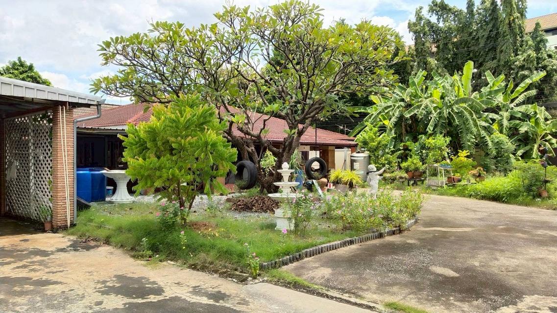 ขายที่ดินพร้อมสิ่งปลูกสร้าง แปลงมุม เนื้อที่ 336 ตรว. ซอยลาดพร้าว 107 แยก 2 แขวงคลองจั่น เขตบางกะปิ กทม. 10
