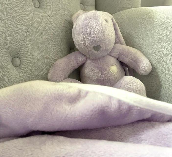 ขาย EVOLI Baby Huggable Bunny 3