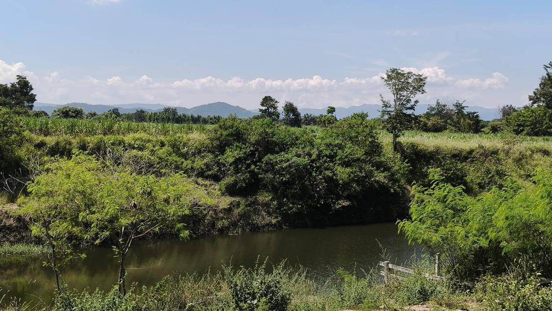 ขายที่หนองสาหร่าย ปากช่อง ที่ติดน้ำ วิวเขาสวย ที่ดิน 1ไร่ 59 ตร.ว ที่สวย ลมดีอากาศถ่ายเท ทำเลดี ใกล้เส้น2235 สนามกอล์ฟแรนโชว์ ตลาดสด เซเว่น 0879074045 2