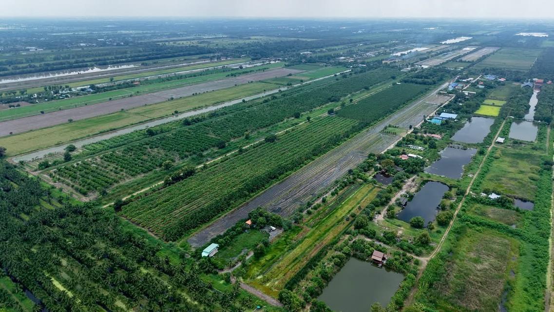 📣เปิดแปลงใหม่ 40 ไร่ สดๆร้อนๆ📣แบ่งขาย แปลงสวย ติดถนน ทำเลทองโครงการทางด่วน โครงการเริ่ม ปี พ.ศ. 2570-2571 แล้วเสร็จ 2575) 4