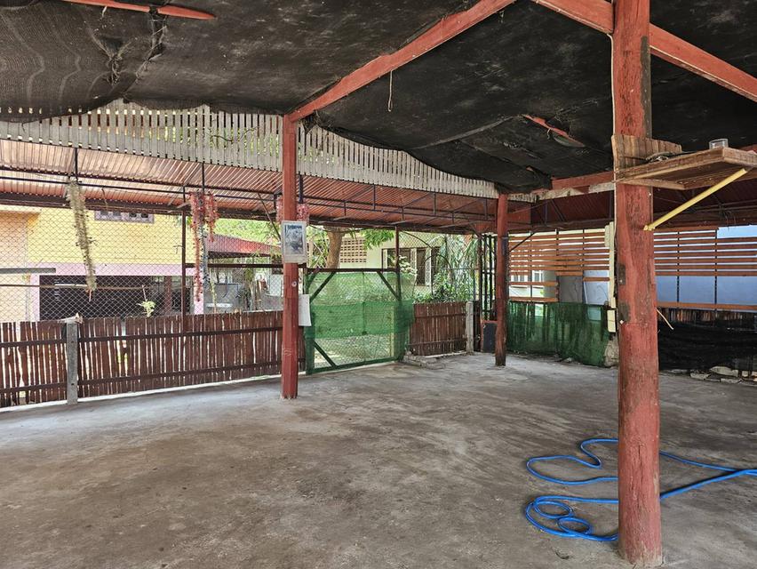บ้านพร้อมที่ดินใจกลางเมืองหนองคาย 6