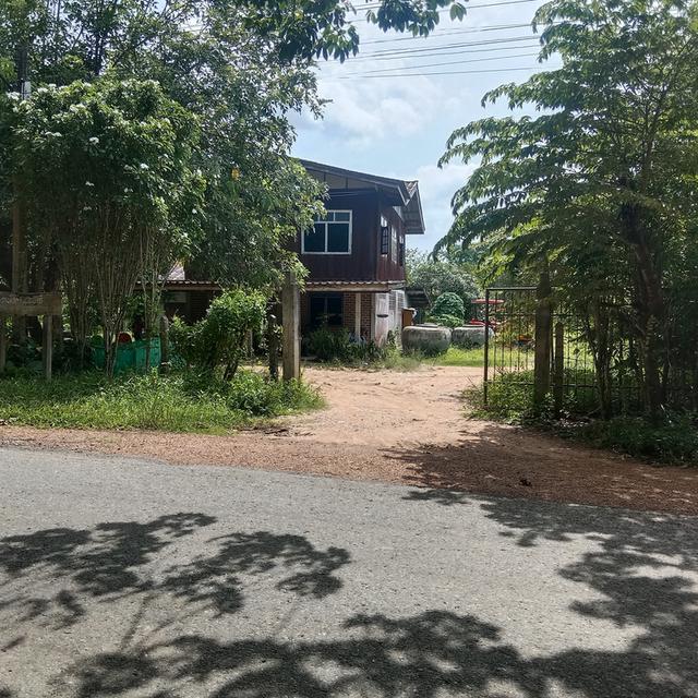 บ้านพร้อมที่ดิน 9