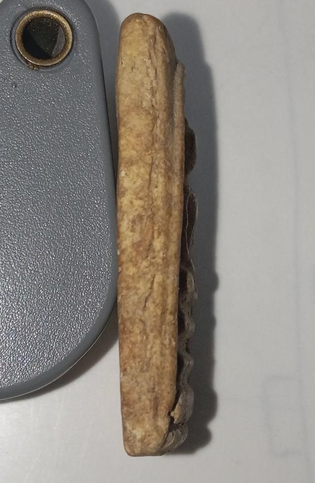 สมเด็จเกศบัวตูม บางขุนพรม 6