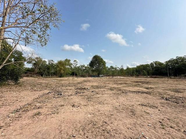 ขายที่ดิน ใกล้สนามกอล์ฟฟินิกส์ [ขายยกแปลง] ห้วยใหญ่ พัทยา ชลบุรี 6