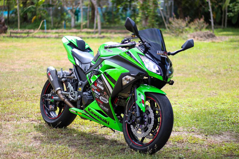 Kawasaki ninja300  5