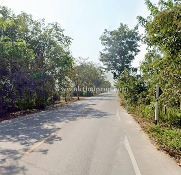 ที่ดินพร้อมต้นสักแปลงมุม ติดถนนลำปางหลวง ใกล้เทศบาลตำบลลำปางหลวง  5