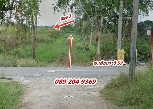 R004-028  ขายที่ดิน ซอยเลียบวารี 59 หนองจอก กทม. พื้นที่ 90 ตรว. 650,000 บาท นก0892049369 3