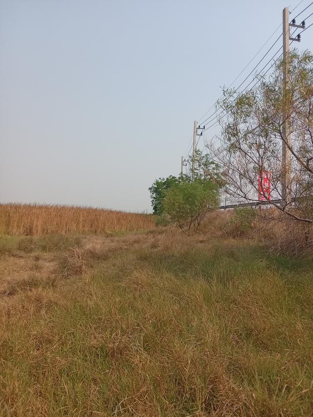 ขายที่ดิน 8 ไร่ 23 ตารางวา 1