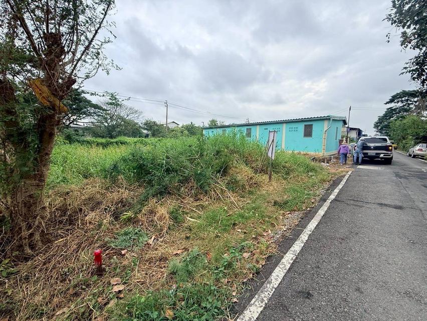 Vายถูกที่ดิน 50 ตารางวา ติดถนนลาดยางสาธารณะ ซอยสกุลช่าง บางบัวทอง นนทบุรี 7