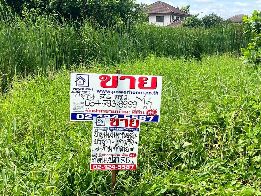 ที่ดินเปล่า ซอยวัดลาดปลาดุก ถนนกาญจนาภิเษก ต.บางไผ่ อ.บางบัวทอง จ.นนทบุรี 5