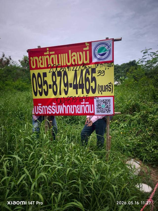 ขายด่วนที่ดินใกล้ตลาดไท 200 ตรว ติดถนนคอนกรีตสาธารณะ ถมแล้ว ซ.เทพกุญชร 39 คลองหลวง ปทุมธานี 3