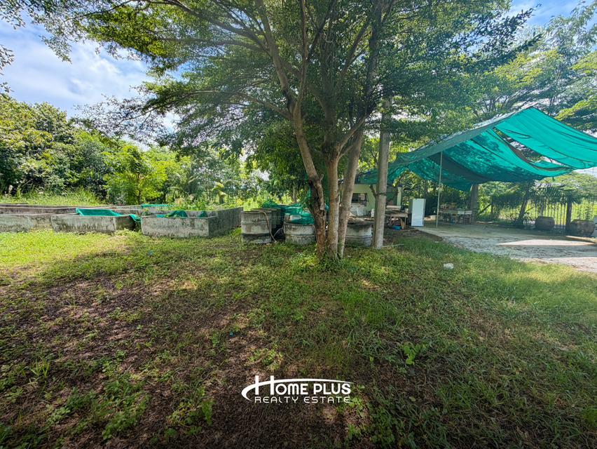 🌍 ขายที่ดินถมแล้ว 2 ไร่ ทำเลศักยภาพ หนองจอก กรุงเทพฯ 6