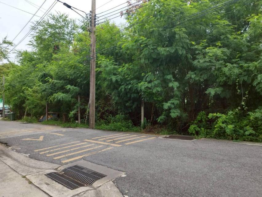 ขายที่ดิน 184 ตร.ว. ซ.คู้บอน 13 ตรงข้ามทิพย์ทอง อพาร์ทเมนท์ ใกล้ถนนคู้บอน
