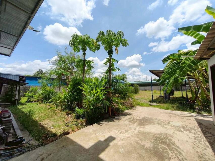 โกดัง 1 ชั้น พร้อมที่ดิน ถนนปทุม – สามโคก ต.ท้ายเกาะ อ.สามโคก จ.ปทุมธานี 10