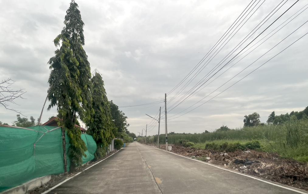 ขายที่ดิน 1 ไร่ คลอง 10 หนองเสือ ปทุมธานี 098 7755 808 4