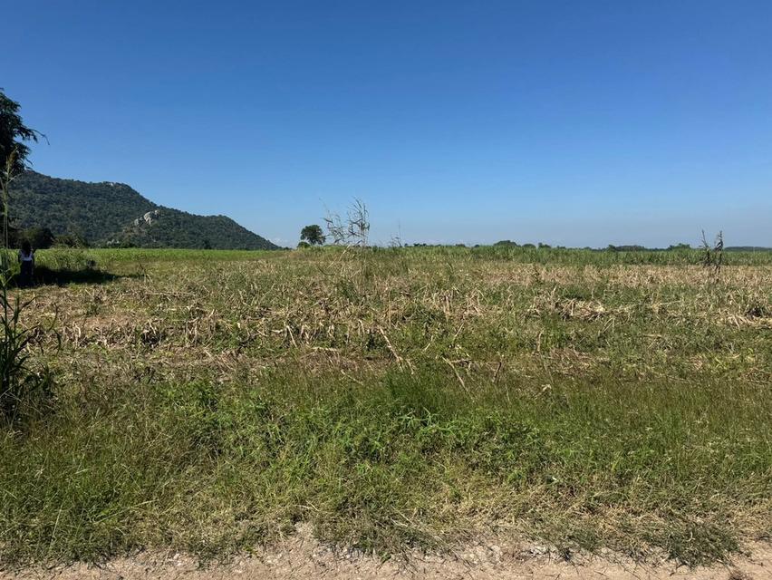 โฉนดครุฑแดง 11 ไร่ วิวเขากะลา ราคาไม่แรง ล้านสองเอาไปเลยยย 4