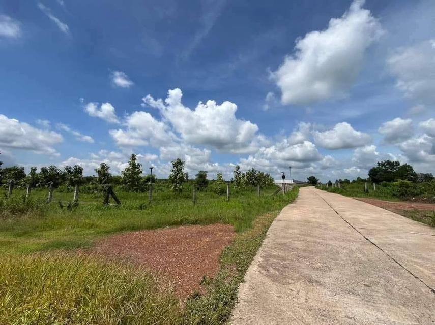 ขายที่ดินสีม่วงหัวหว้าหลังนิคมโรจนะ 23 ไร่ หลังรง.ฮอนด้า ใกล้ถนน304-3กม. อ.ศรีมหาโพธิ ปราจีนบุรี 2