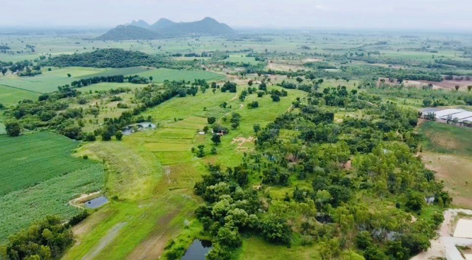 ขายที่ดินแปลงใหญ่ พยุหะคีรี นครสวรรค์ ทำประชาคม สร้างฟาร์ม ได้  14
