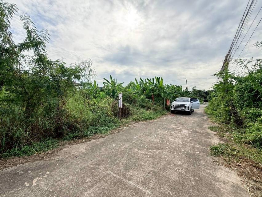 Vายที่ดินใกล้รถไฟฟ้าสายสีชมพู 146 ตารางวา ติดถนนคอนกรีต ถมแล้ว ซอยต้นสน 6 อ.ปากเกร็ด จ.นนทบุรี 6