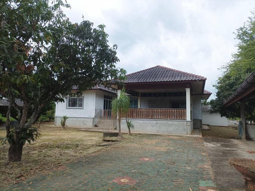 ขายบ้านพร้อมที่ดิน ต.สง่าบ้าน อ.ดอยสะเก็ด จ.เชียงใหม่ 1