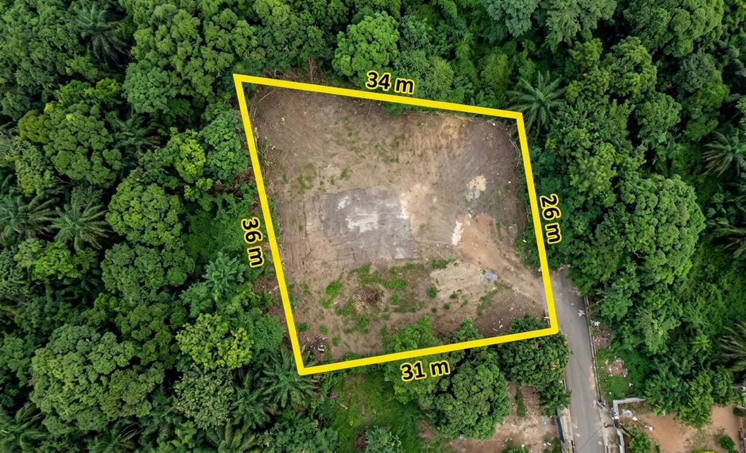 ขายที่ดิน ราคาดี ขนาด 262 ตร.ว. ย่านพัฒนาการ เหมาะทำอพาร์ทเม้นท์หรือที่ิอยู๋อาศัย 1