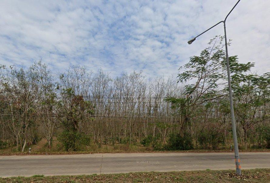 ขายที่ดินหนองใหญ่ 30 ไร่ ติดถนนสี่เลนเส้นหนองใหญ่ ใกล้นิคมโรจนะหนองใหญ่-5กม. จ.ชลบุรี