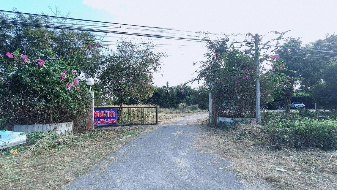 ขาย/ให้เช่า ที่ดินอ่างทอง เจ้าของขายเอง 2