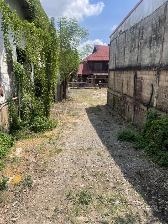 ขายที่ดินทำเลทอง ราคาถูก ใกล้วิทยาลัยเทคนิคลำพู 1