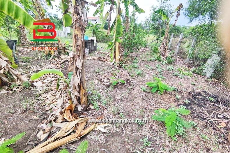 ที่ดิน ถมแล้ว ซอยมิตรไมตรี 2/2 เนื้อที่ 100 ตรว. ถนนมิตรไมตรี เขตหนองจอก กรุงเทพฯ