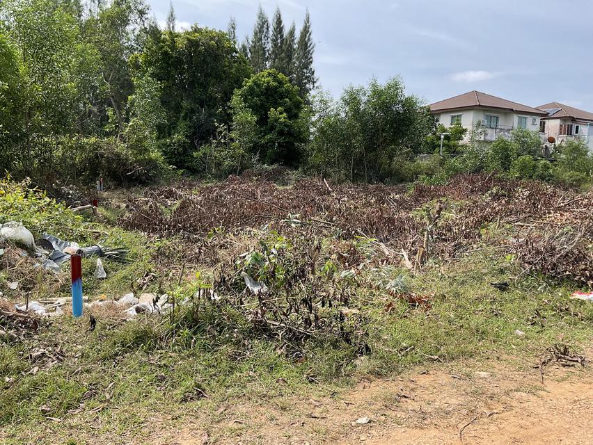 ขายที่ดิน 4 ห้อง คลองแห หาดใหญ่ 6