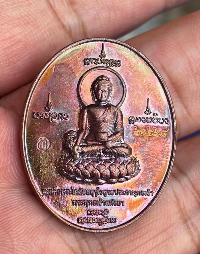 #เหรียญสมเด็จพระไภษัชยคุรุไวฑูรยประภาพุทธเจ้า