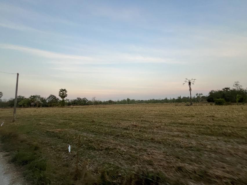 📌 ที่ดิน 76 ไร่ อำเภอดอนเจดีย์ จังหวัดสุพรรณบุรี 14