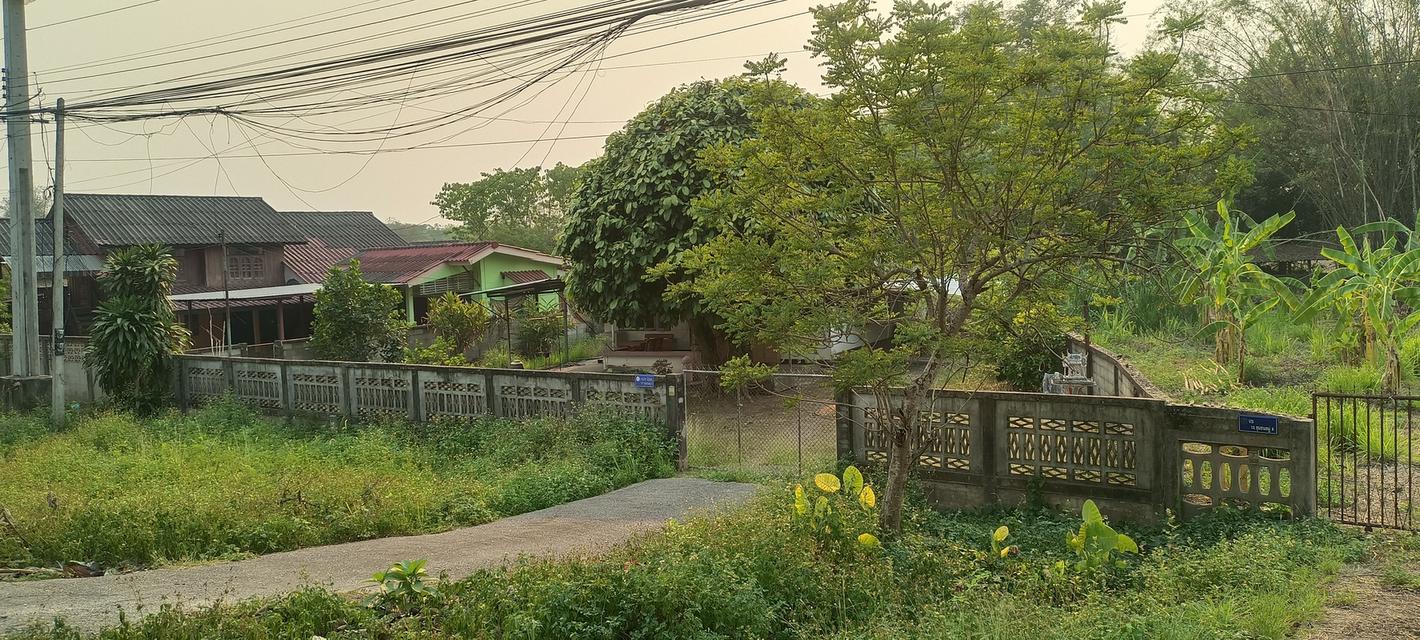 บ้านพร้อมที่ดิน หลุดสัญญาขายฝาก 4