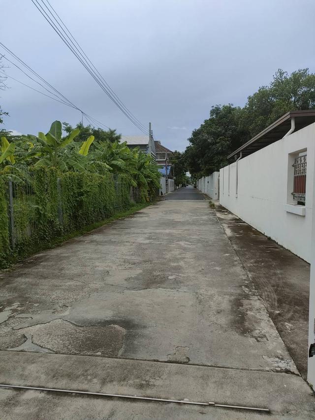 ขายที่ดินเปล่าถมแล้วในถนนลาดพร้าวซอย 48 กรุงเทพมหานคร 5