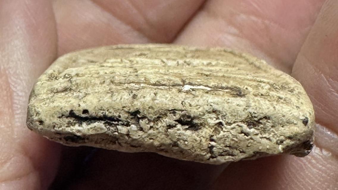 พระสมเด็จ พิมพ์ใหญ่ ผ่านการบูชา รูปที่ 7