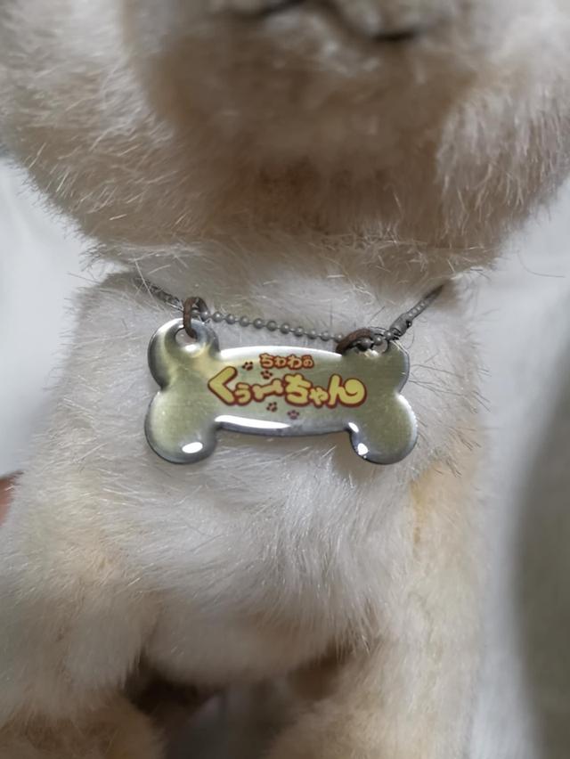 cute dog Chihuahua doll 8
