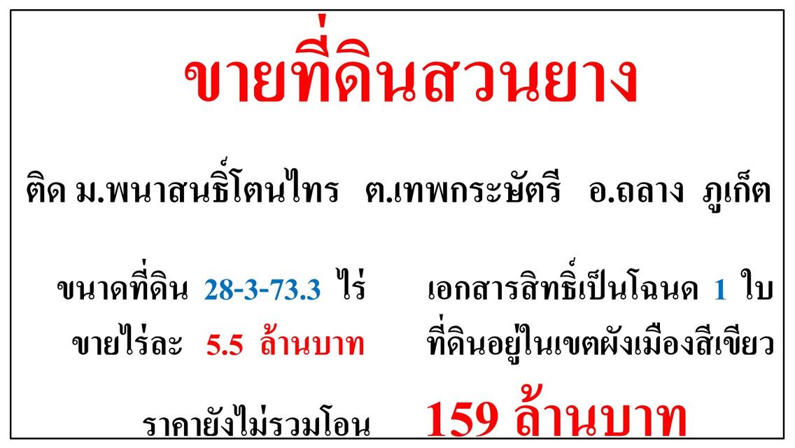 ขายที่ดินสวนยาง ขนาด 28-3-73.3 ไร่ **ติด ม.พนาสนธิ์โตนไทร** อ.ถลาง ภูเก็ต (ไร่5.5ลบ.) 2