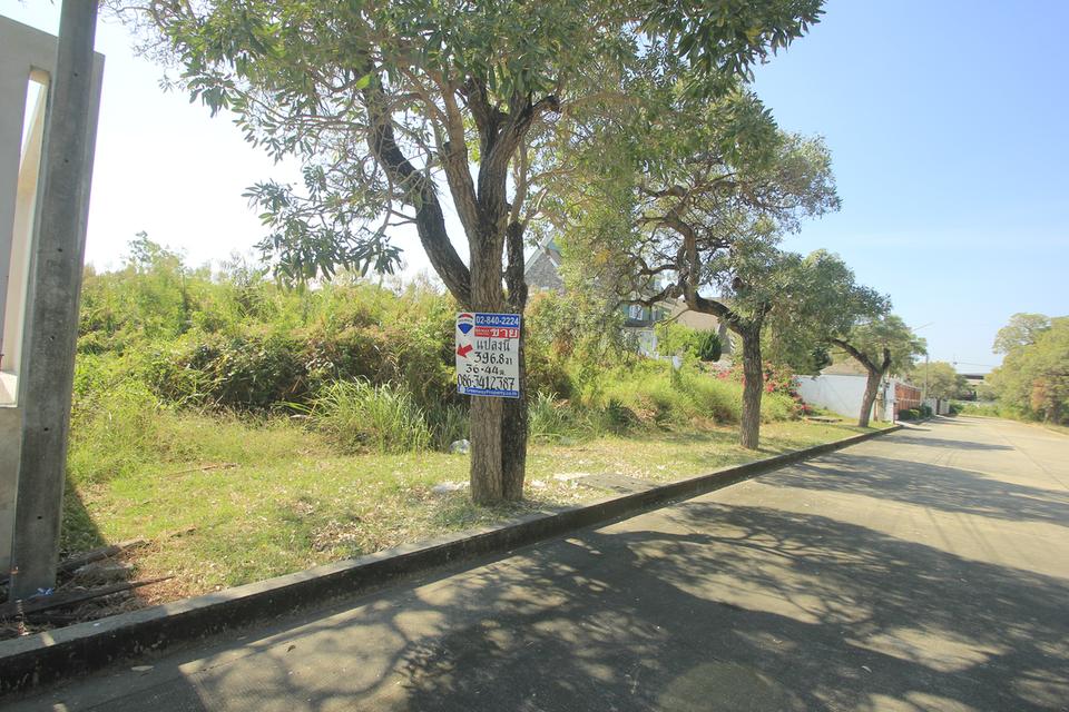 ที่ดินถนนบรมราชชนนีปิ่นเกล้านครชัยศรี ที่ดินสร้างบ้าน396.8ตารางวา หมู่บ้านวริยาวิลล์ หมู่บ้านติดถนนใหญ่ ซอยแรกของโครงการ ใกล้มหิดลศาลายา 20