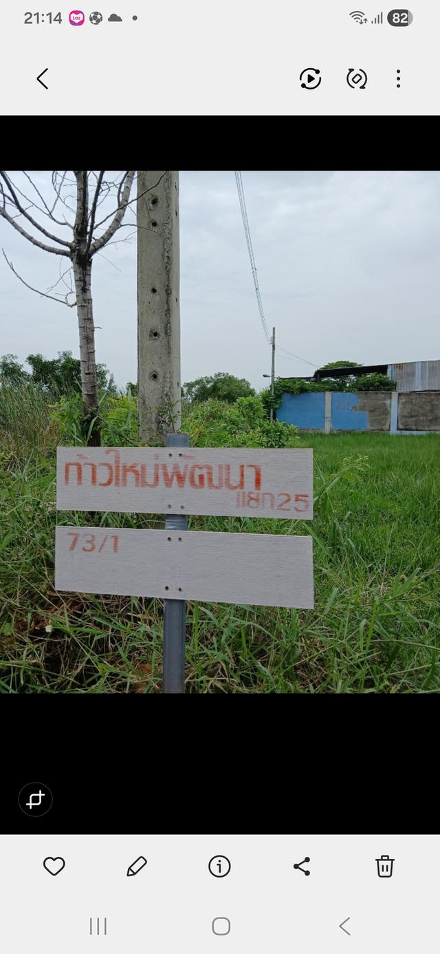 ที่ดินหนองจอก ประชาสำราญ ซอย2 2