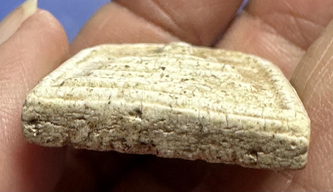 พระสมเด็จพิมพ์ใหญ่เนื้อสวย 7