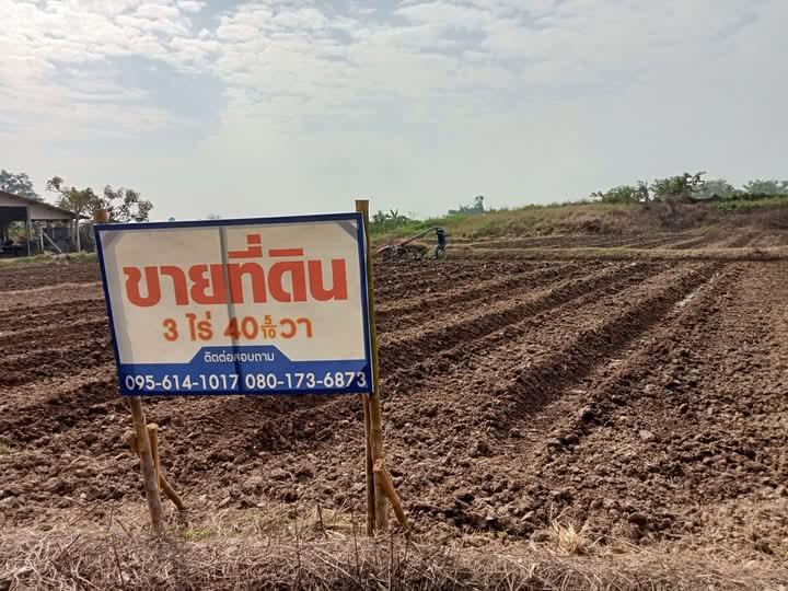 ที่ดิน อ.ฝาง จ.เชียงใหม่ 2