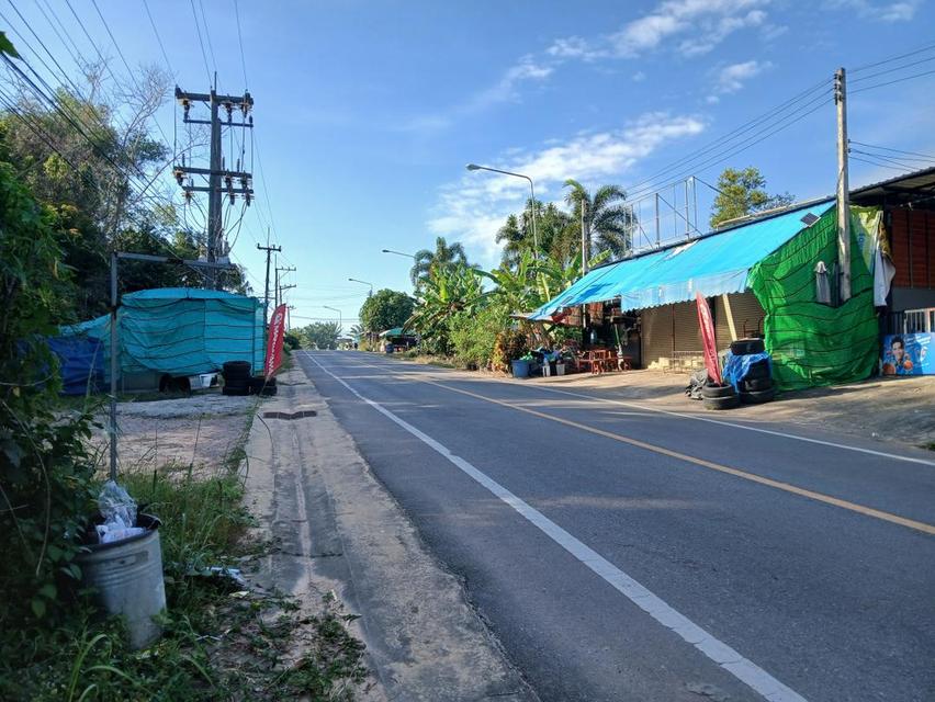 ขายที่ดินเปล่าโฉนด 1 งาน 14 ตร.ว. อยู่ในชุมชน ต.นาชะอัง อ.เมืองชุมพร ห่างศาลากลางจังหวัดเพียง 3 กม. ที่เนินปลอดภัยจากน้ำท่วม 6