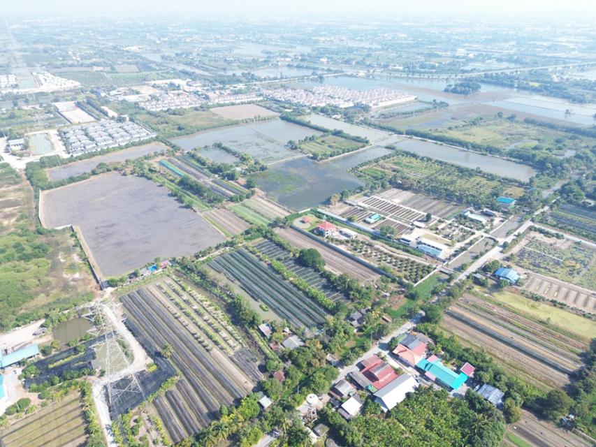 ขาย ที่ดิน บางใหญ่ 43-2-37 ไร่ ติดถนนเลียบคลองรัฐประเสริฐ ใกล้เซ็นทรัลเวสต์เกต แปลงสวย ทำเลดี เหมาะพัฒนาโครงการจัดสรร 5