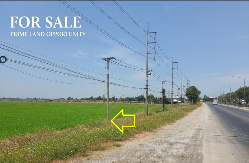 ที่ดินเปล่าติดทางหลวงหมายเลข 346 (นนทบุรี-บางเลน) 1