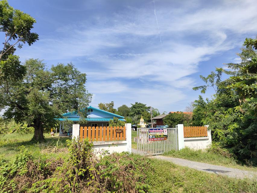 บ้านพร้อมที่ดิน รวม 1ไร่3งาน81ตรว. 3
