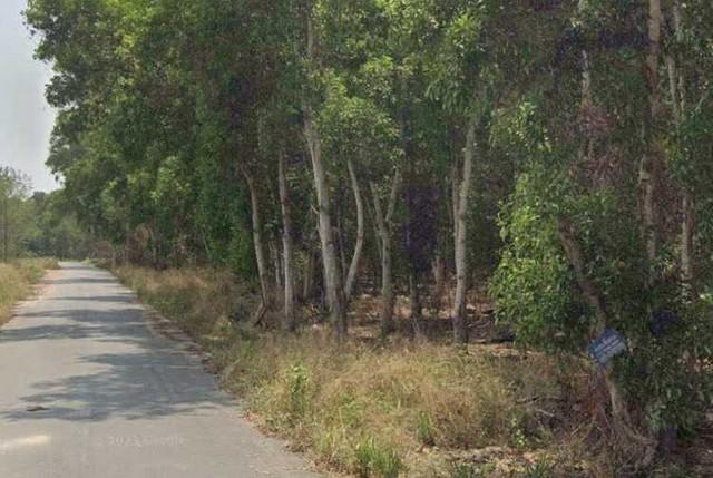 ขายที่ดินศักยภาพสูง ทำเลทอง 48-2-85 ไร่ ต.มาบตาพุด จ.ระยอง ใจกลางโซนอุตสาหกรรม ผังสีส้ม 4