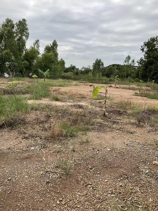 ขายที่ดิน4ไร่92ตรว.ใกล้มหาวิทยาลัยมหาจุฬาลงกรณ์ราชวิทยาลัย ใกล้เบียร์สิงห์วังน้อย ขายถูกมาก 2