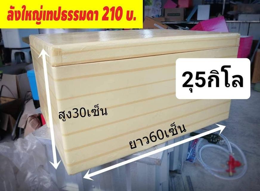 อุปกรณ์นึ่งข้าวถ้วยซึงลังหัวเเก็ส รูปที่ 2