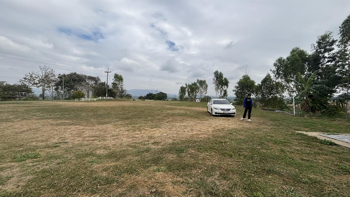 ที่ดินเปล่า 7 ไร่ 2 งาน ไร่ละ 9แสน แบ่งได้ อ.วังน้ำเขียว 4