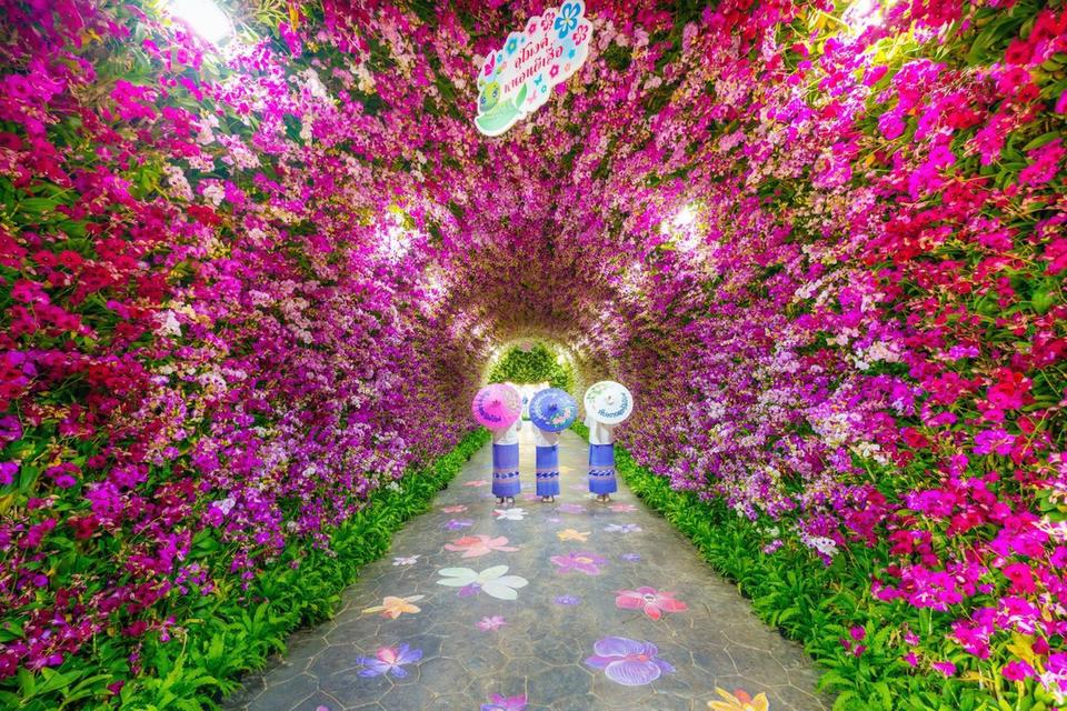 #ทริปปีใหม่ #เที่ยวเชียงราย 4 วัน 3